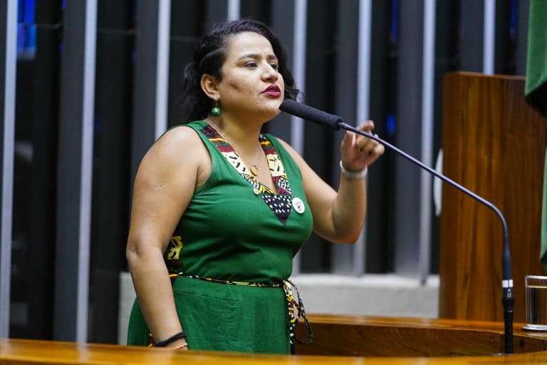 Comissão aprova projeto que suspende nova composição de conselho da Amazônia Legal