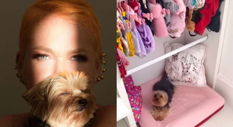 Xuxa é criticada nas redes após mostrar closet da cadela: 'Tem crianças que não tem o que comer'