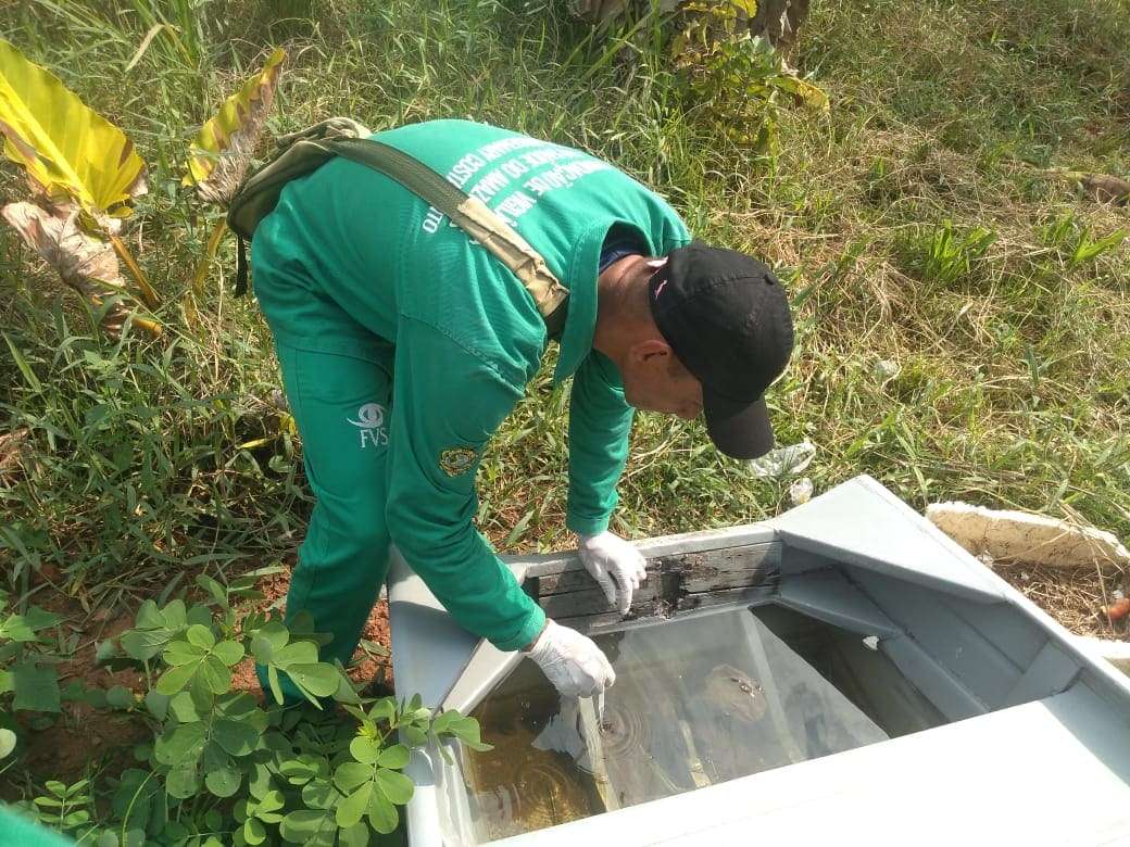 Saúde do Amazonas alerta para prevenção a doenças transmitidas pelo Aedes aegypti