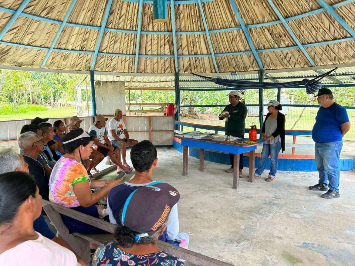 Prefeitura de Manaus leva curso de Olericultura a agricultores da comunidade São Francisco do Ariaú