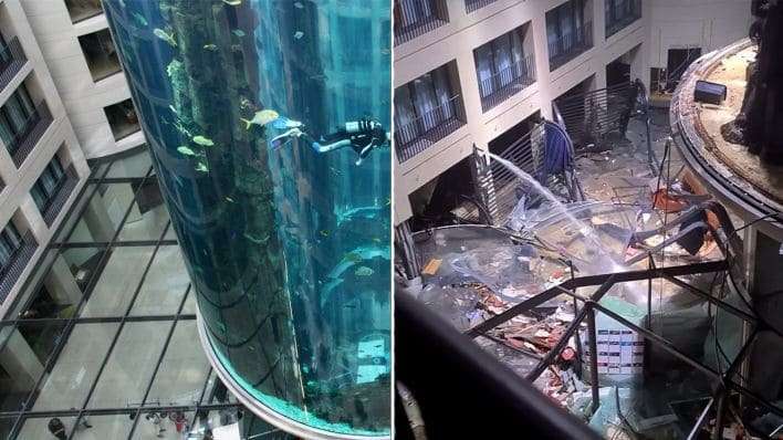 Maior aquário cilíndrico do mundo explode em Berlim com 1.500 peixes