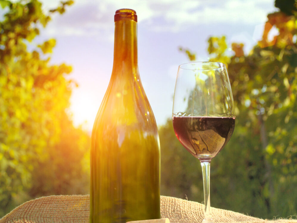 Vinhos leves são ideais para o consumo no verão