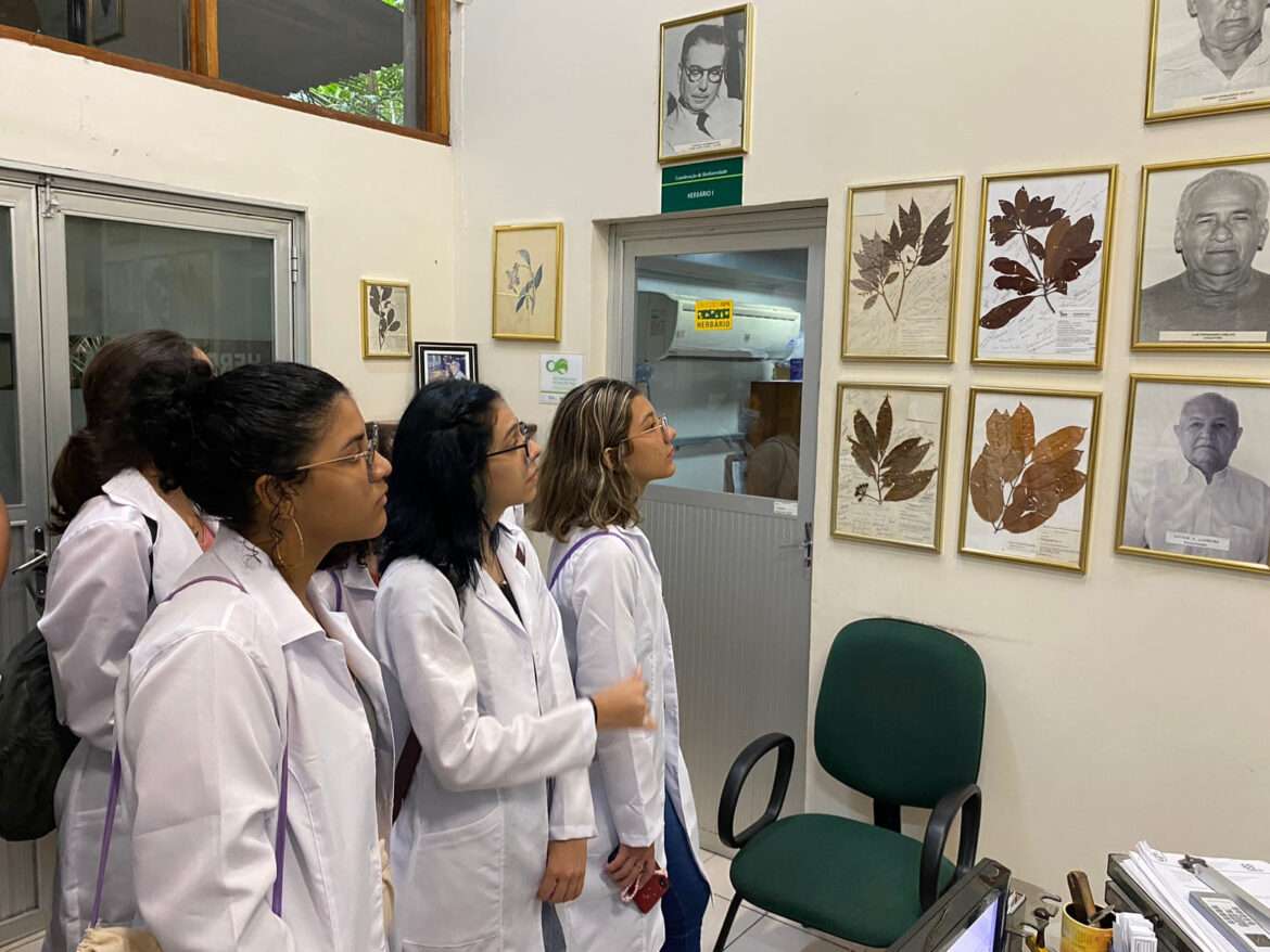 Participantes do programa “Futuras Cientistas” visitam laboratórios e áreas de pesquisas