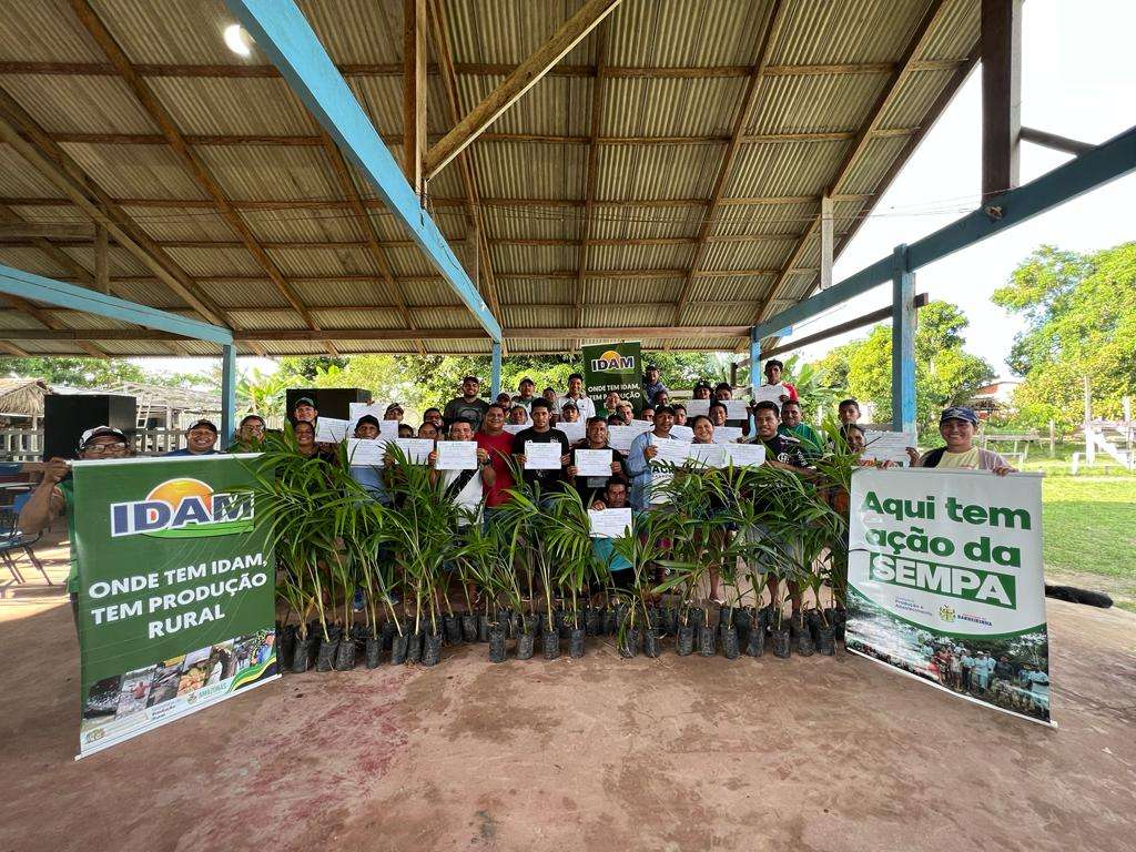 Idam capacita agricultores para fomentar cultivo do açaí em Barreirinha