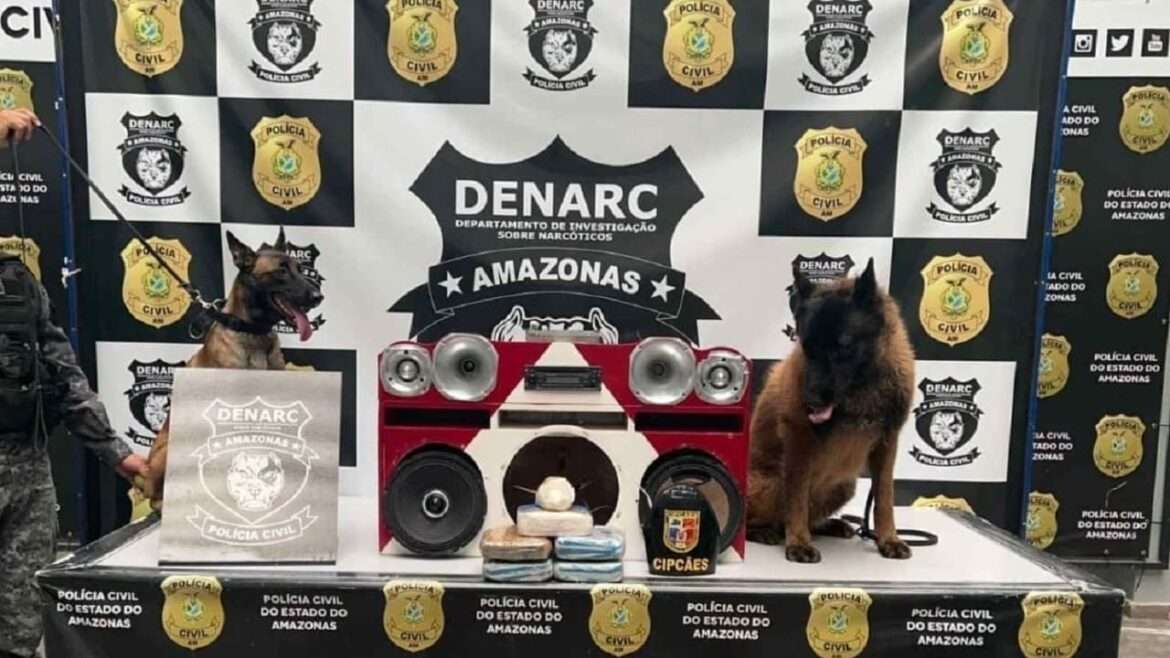 Cão fareja drogas que eram transportadas em caixa de som