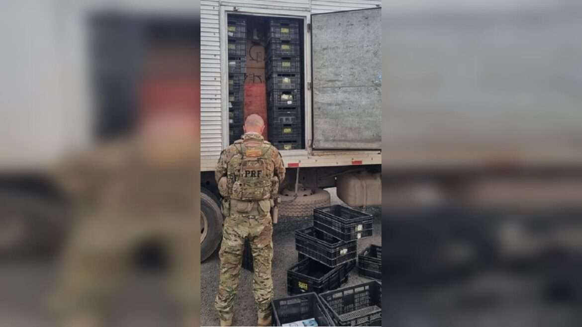 PRF aprende caminhão lotado de cigarro contrabandeado