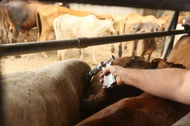 Nova lei substitui fiscalização agropecuária por autocontrole dos produtores