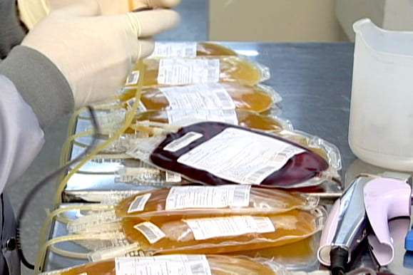 Aplicativo facilitará doações de sangue no Brasil