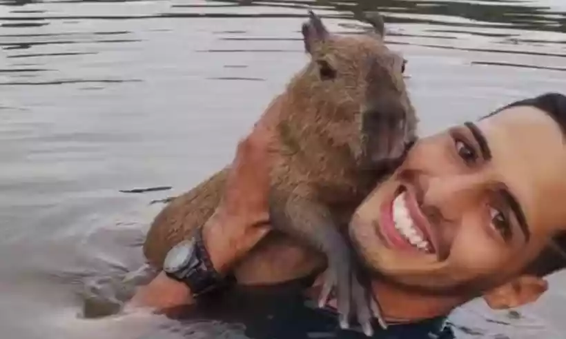 Homem posta foto com sua capivara de estimação e viraliza na internet