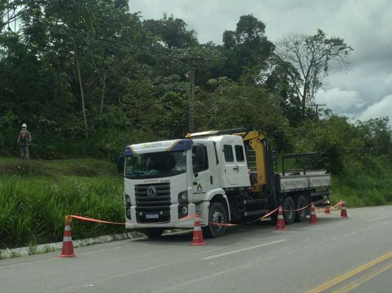 BR-174 recebe poda de árvores e nova rede elétrica entre os Km 15 e 39