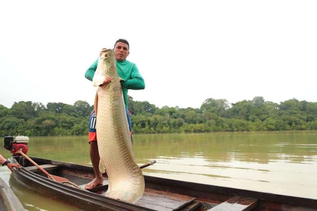 Governador Wilson Lima lança Atlas de Acordos de Pesca Regulamentados no Amazonas