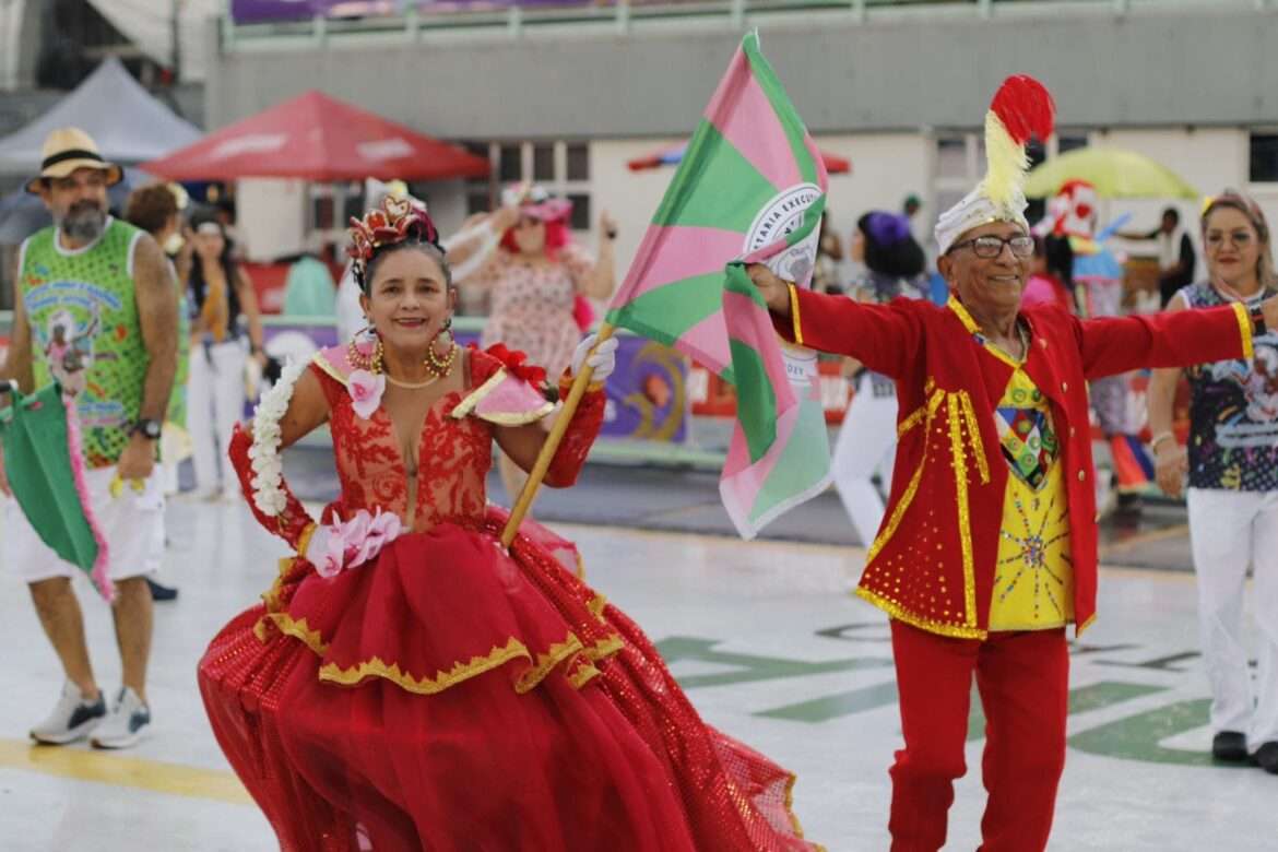 Desfile de Idosos e Espaço Acessível marcam ações da Sejusc no Carnaval na Floresta