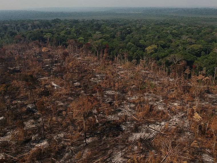 Governo instala comissão para zerar desmatamento no Brasil até 2030