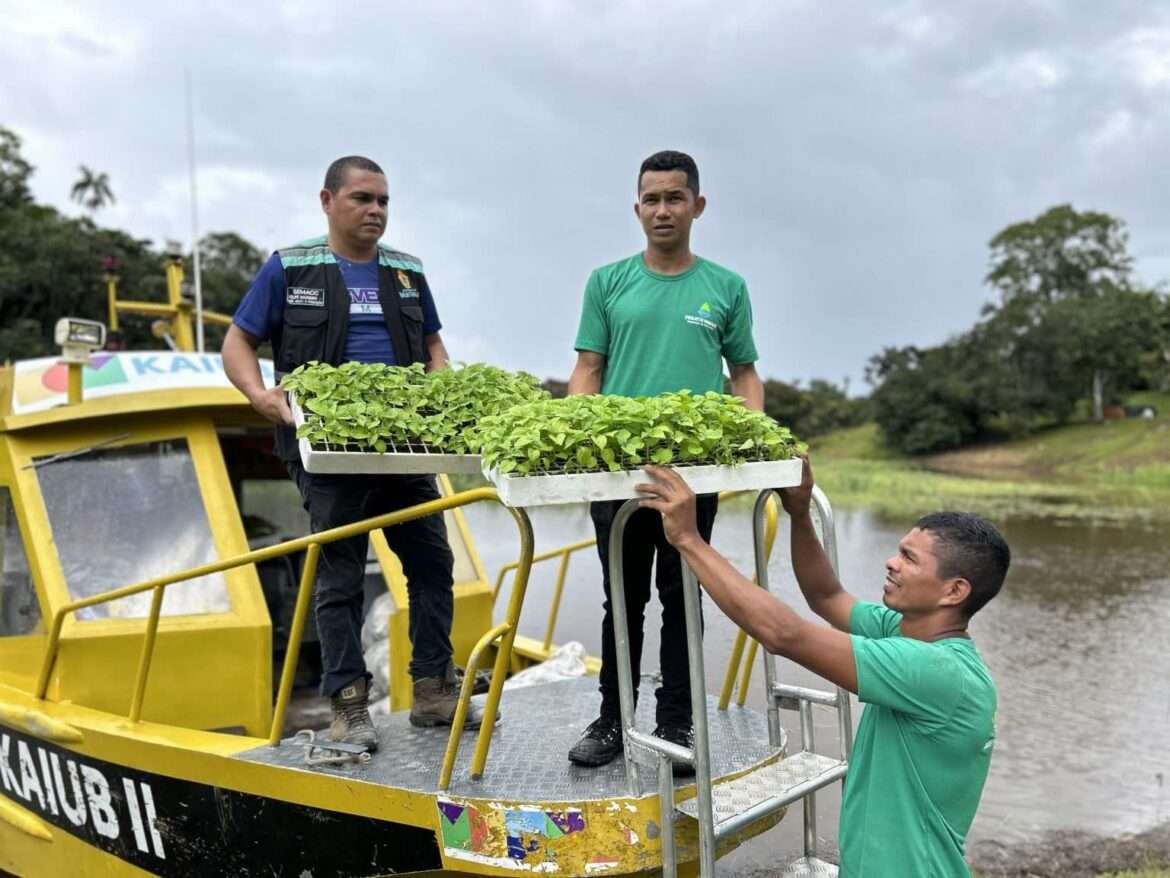 Prefeitura de Manaus em parceria com ONG fomenta a agricultura familiar na comunidade União e Progresso