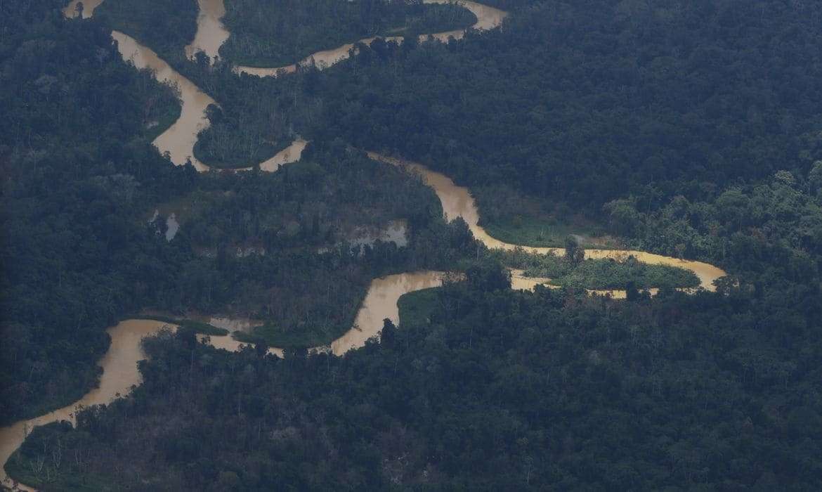 Governo do Pará assina decreto para combater garimpo e desmatamento