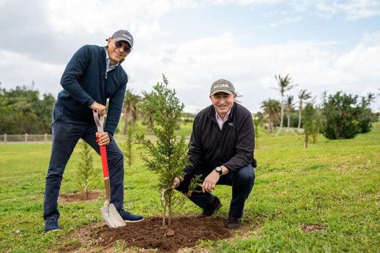 Bacardi planta uma árvore para cada funcionário em comemoração a seu 161o aniversário com um presente ao planeta