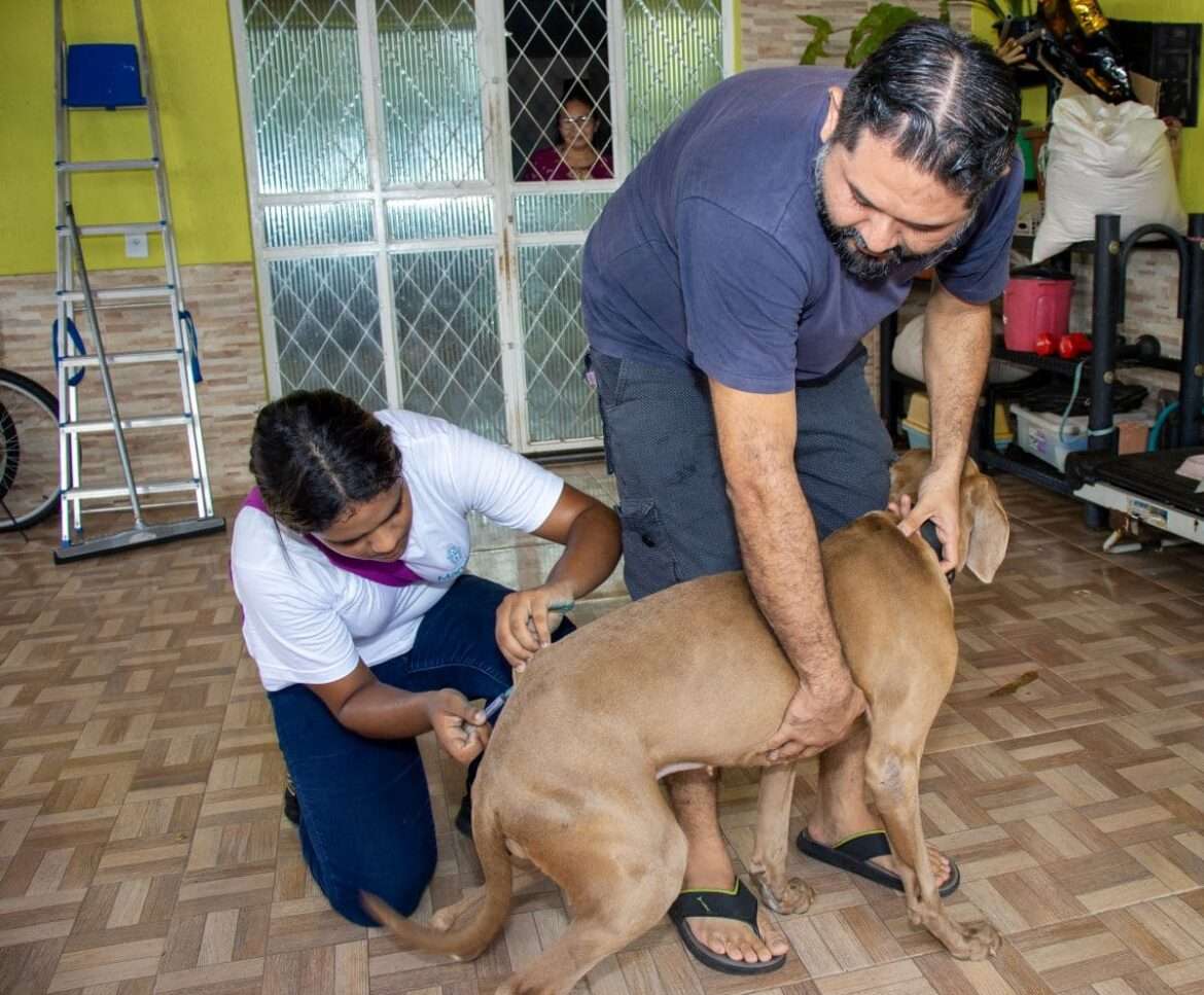 Prefeitura prossegue com vacinação antirrábica animal neste sábado (18)