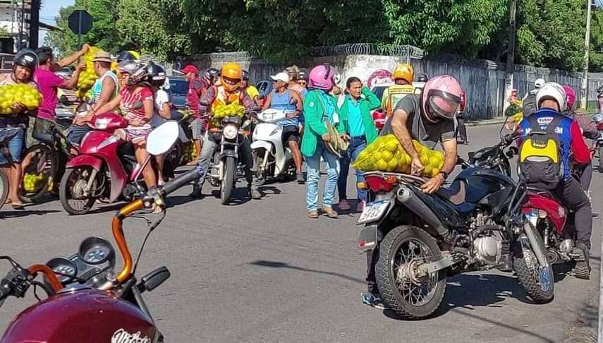 Consumo de laranja apreendida por risco contaminação por praga põe saúde pública de Parintins em alerta 