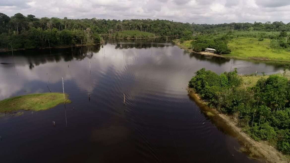 Lago de Balbina tem regras de uso revisadas para conservar estoques de tucunaré