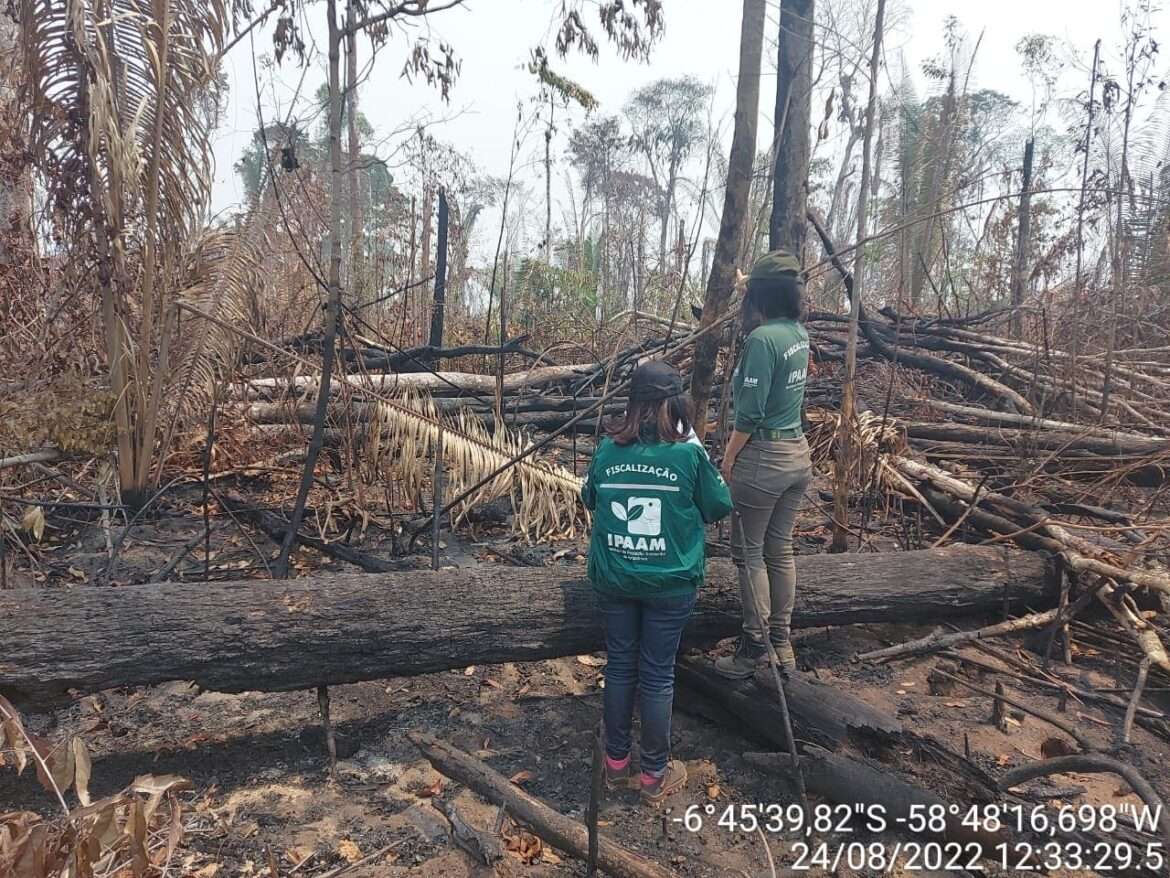 Ipaam aplica mais de R$ 76 milhões em multas durante Operação Tamoiotatá II