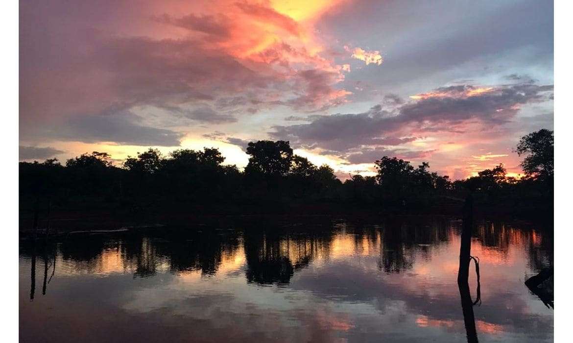 Dia Mundial da Água: Cerrado pode perder quase 34% da água até 2050