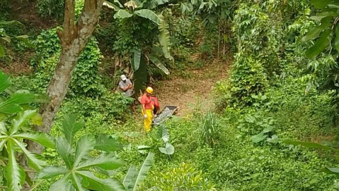 Corpo de jovem é encontrado com mãos amarradas em área de mata em Iranduba/Am