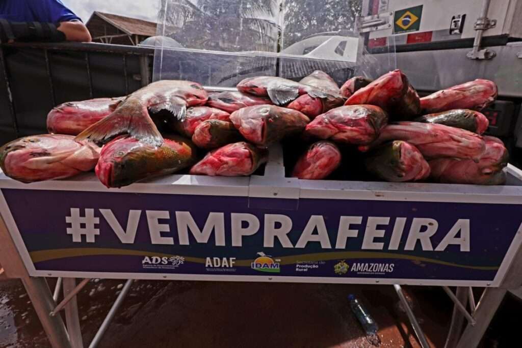 Feirão do Pescado deve comercializar 100 toneladas de peixe a partir desta quarta-feira