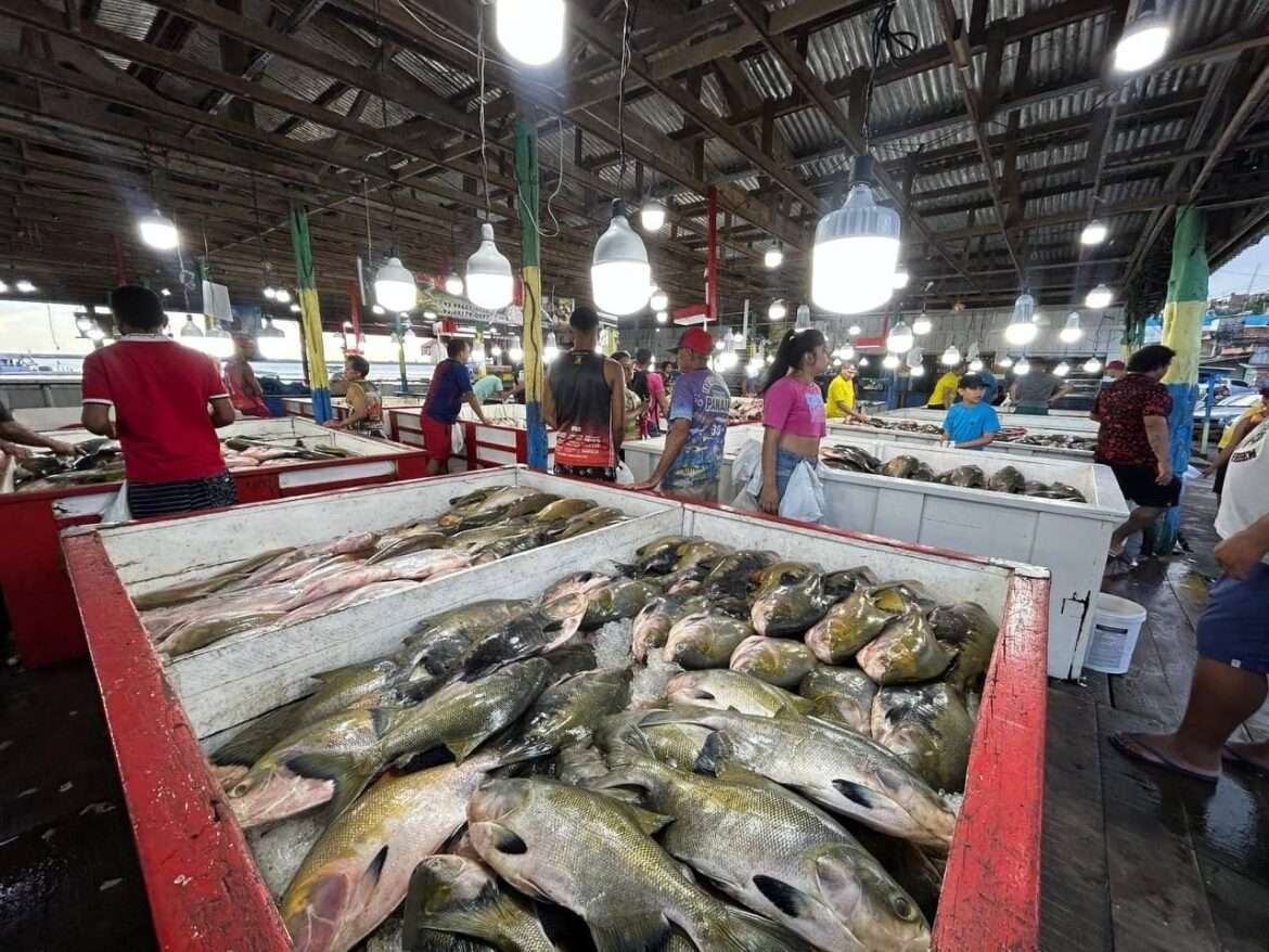 Prefeitura de Manaus intensifica fiscalização nas feiras abastecedoras de pescado