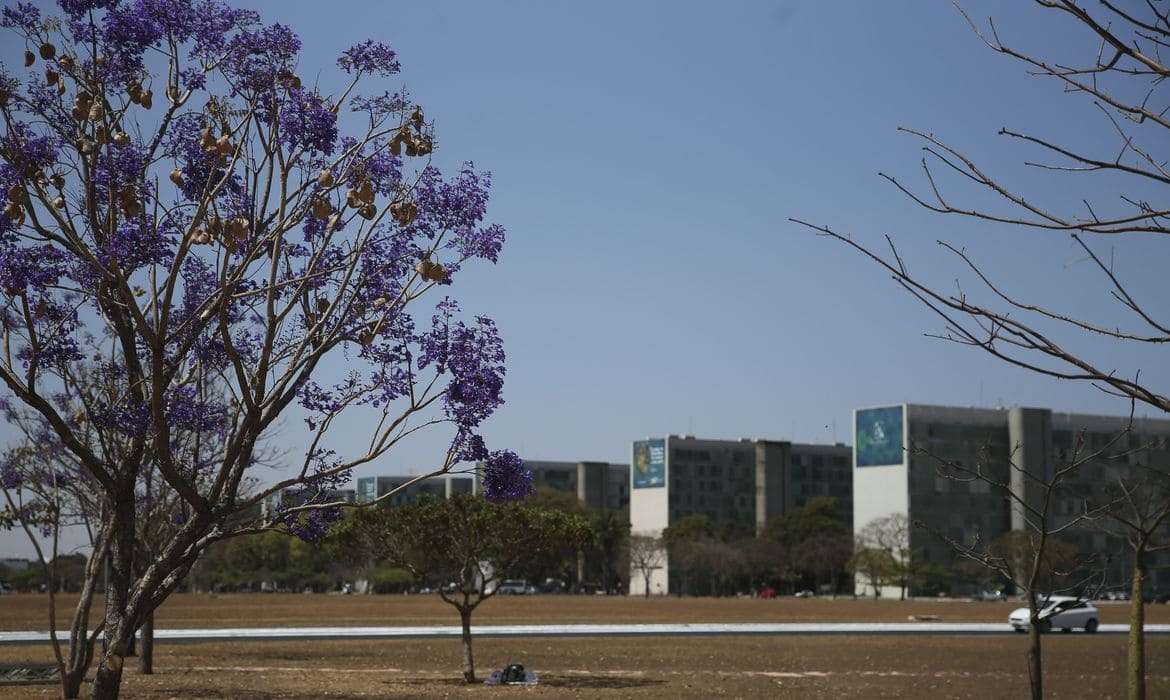 Cai participação de mulheres em cargos no Governo Federal