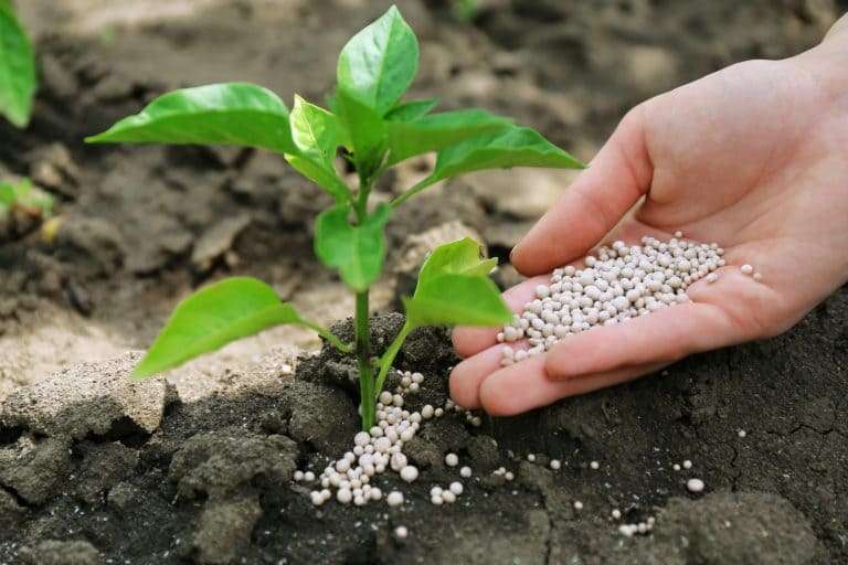 Projeto altera a composição de fertilizantes agrícolas