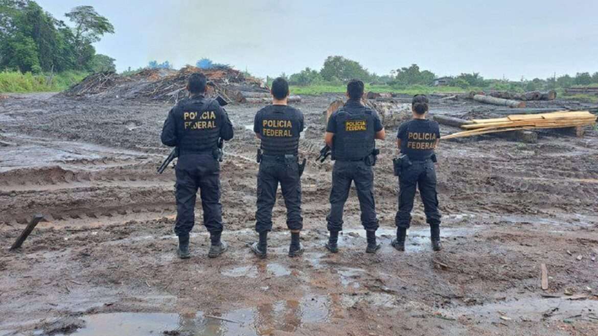 PF aprende madeira ilegal no interior do Pará