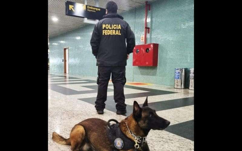 Foragido do rj tenta desembarca em Manaus e é preso no aeroporto