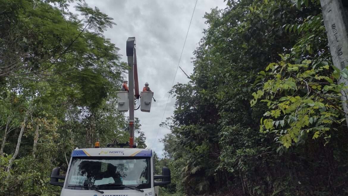 Vegetação próxima à rede elétrica pode interromper distribuição de energia