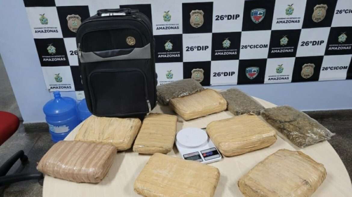 Homem é preso com flagrante com 11 kg de maconha do tipo skunk