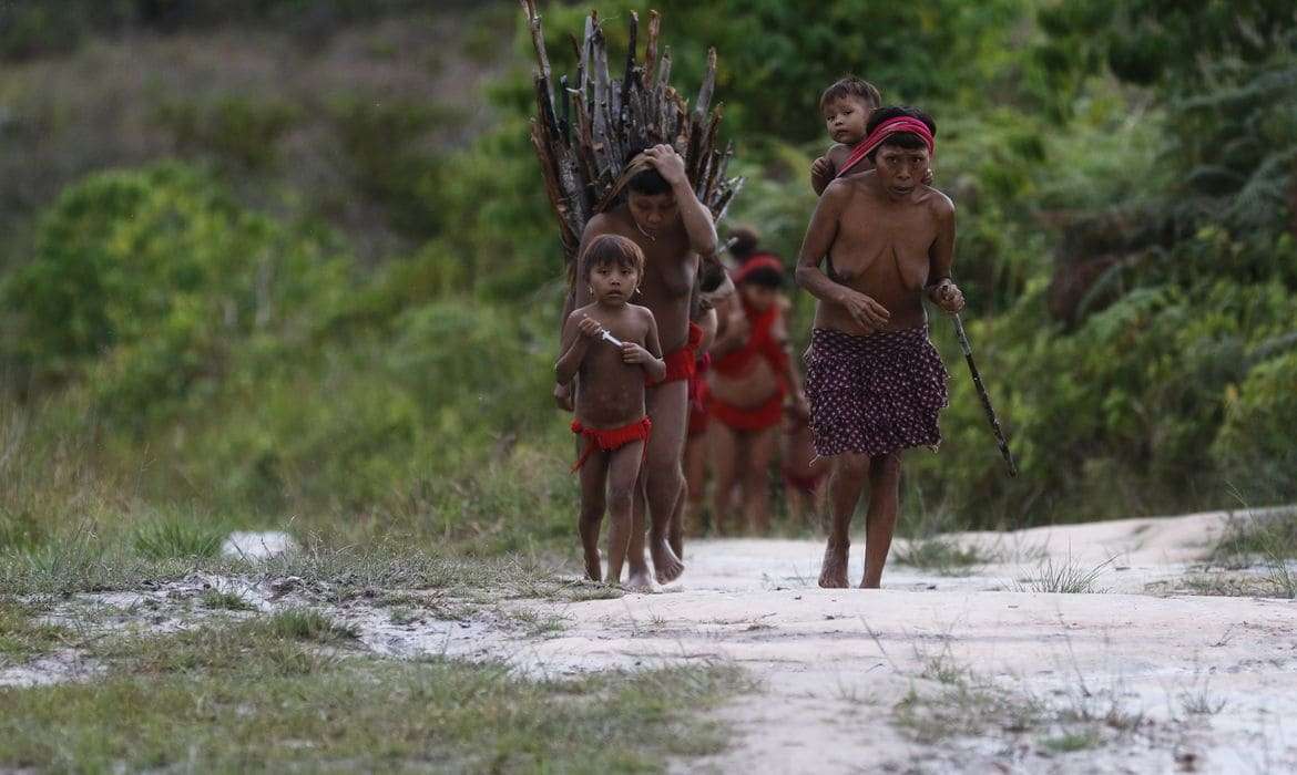 Governo envia comitiva à Roraima após ataque em terra yanomami 