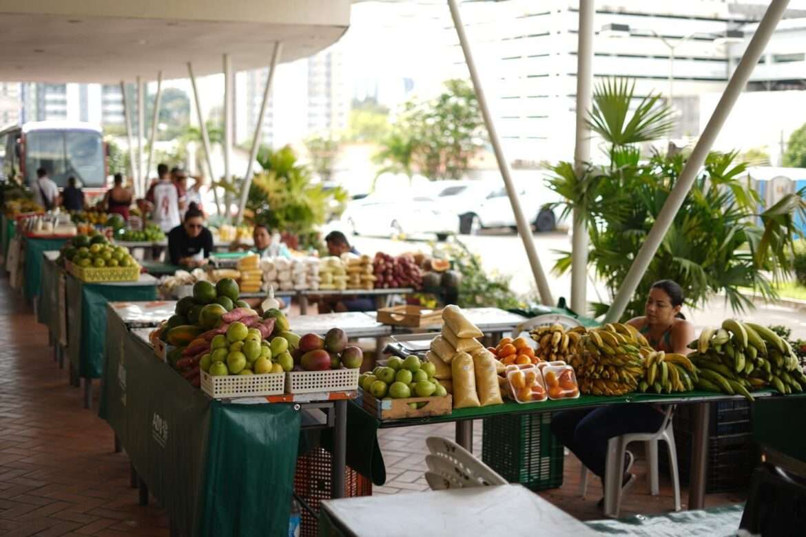 ADS promove edição especial da Feira de Produtos Regionais na sede da Setemp