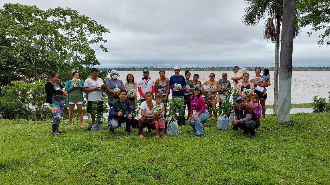 Idam leva regularização e distribuição de mudas e sementes para agricultores familiares, em Alvarães