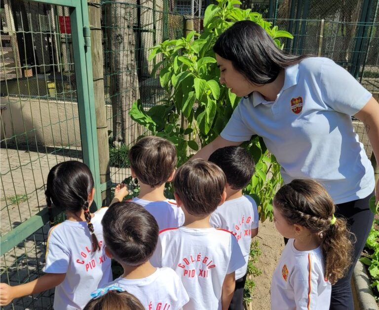 Dicas podem incentivar a consciência ambiental nas crianças