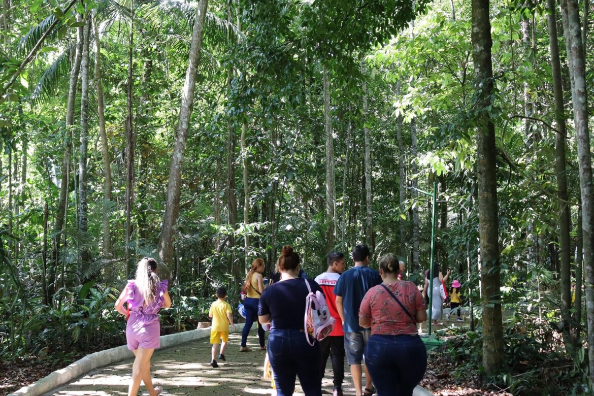 Bosque da Ciência prepara programação especial para Um Dia no Parque