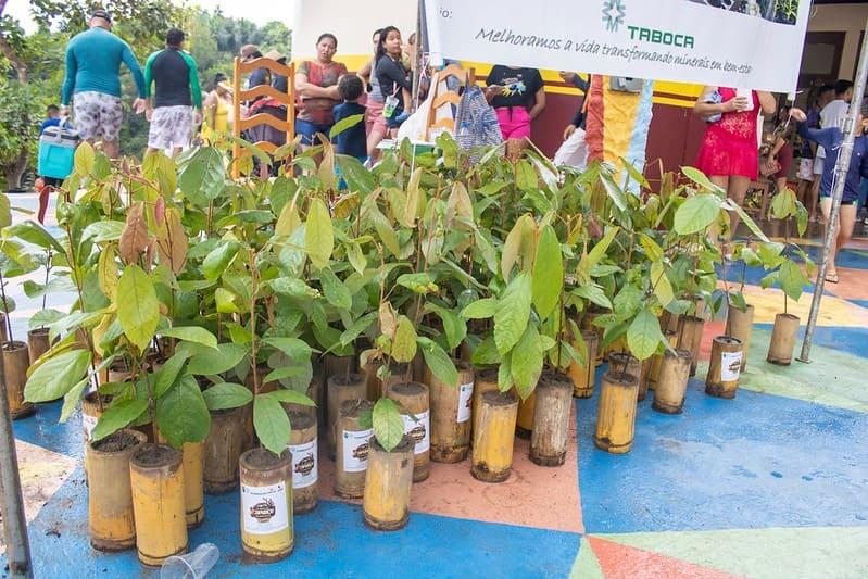 Festa do Cupuaçu bate recorde de público levando cerca de 200 mil pessoas à Presidente Figueiredo