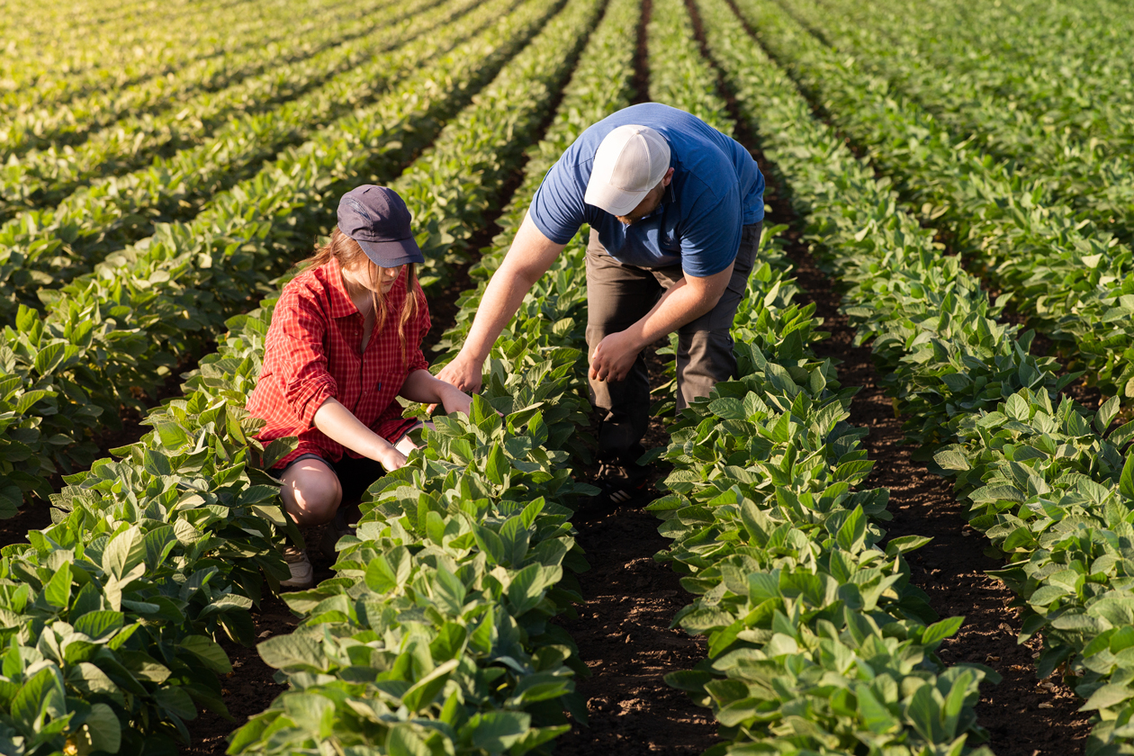 Agricultura familiar impacta produção de biodiesel