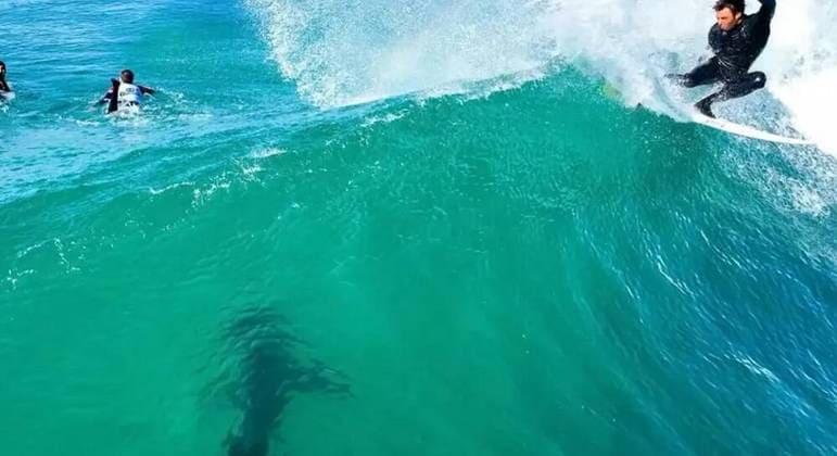 Vídeo: Tubarão-branco assusta surfistas durante treino em Jeffrey’s Bay