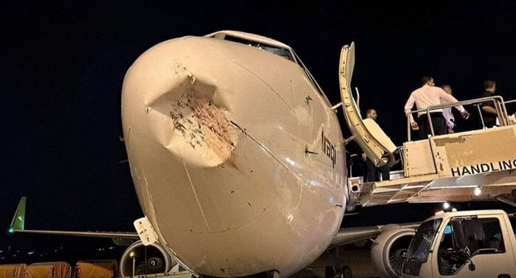 Colisão com pássaro destrói fuselagem de avião de passageiros