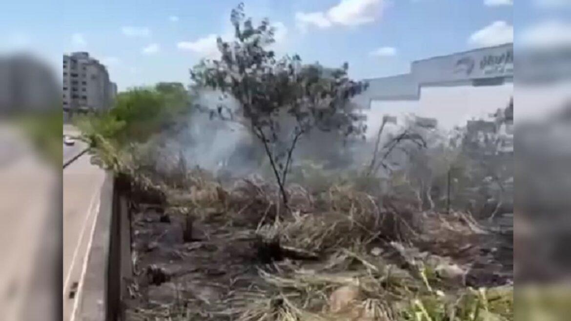 Fogo atinge mata na avenida Torquato Tapajós