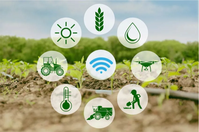 Expansão da IoT no Brasil inclui atividades agrárias