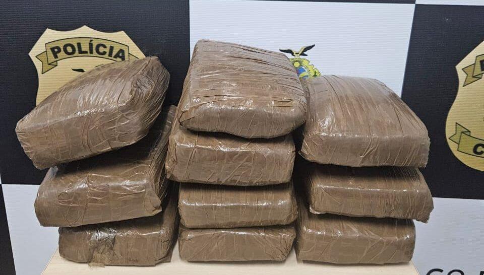 Polícia apreende cerca de 10 tabletes de maconha tipo skunk avaliados em R$ 150 mil