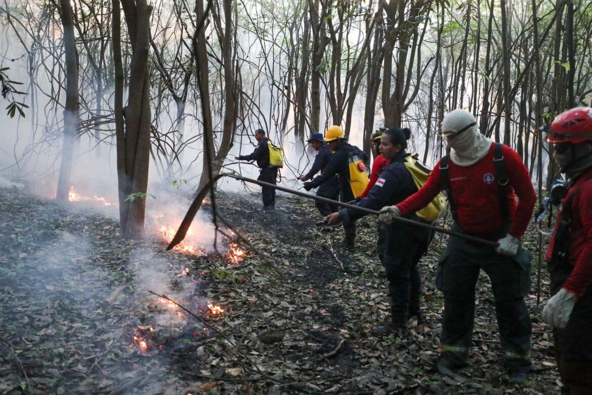 Corpo de Bombeiros monta força-tarefa para combater incêndio em área de mata no Cacau Pirêra