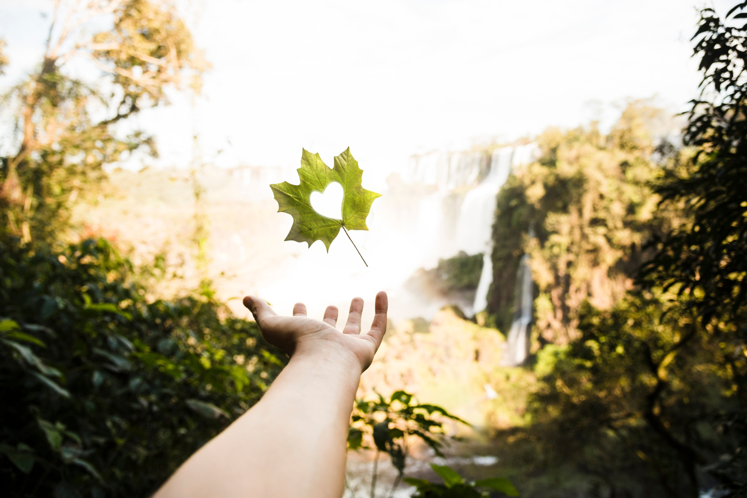 Foz do Iguaçu é destino mais sustentável do Brasil