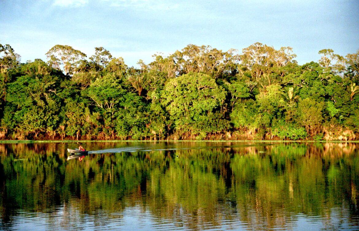 Sema oferece auxílio a municípios da Região Metropolitana de Manaus para acesso ao Fundo Amazônia