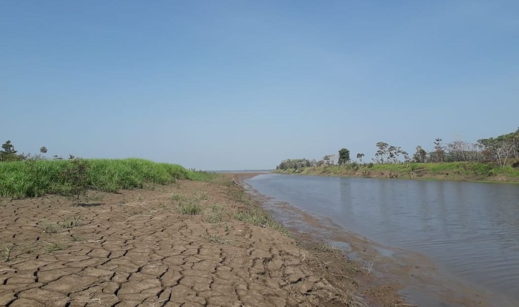 Rio Amazonas tem pior seca em 49 anos na ilha de Parintins
